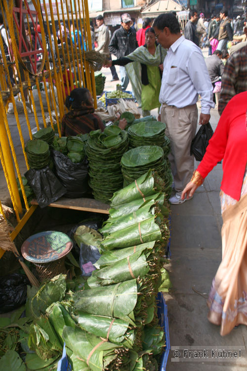 Palmblatt